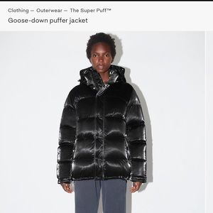 Aritzia Super World Super Puff Liquid Shine S regular length